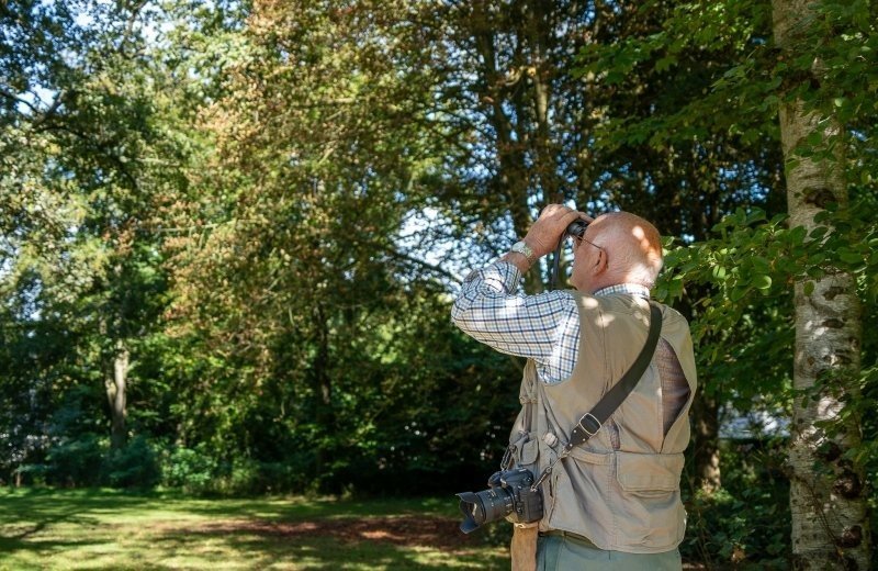 Laat je verwonderen...